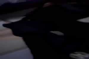 【姐弟乱伦】真实强暴醉酒亲姐，哭的一个撕心裂肺（内射露脸）换来三年刑期  背景图片