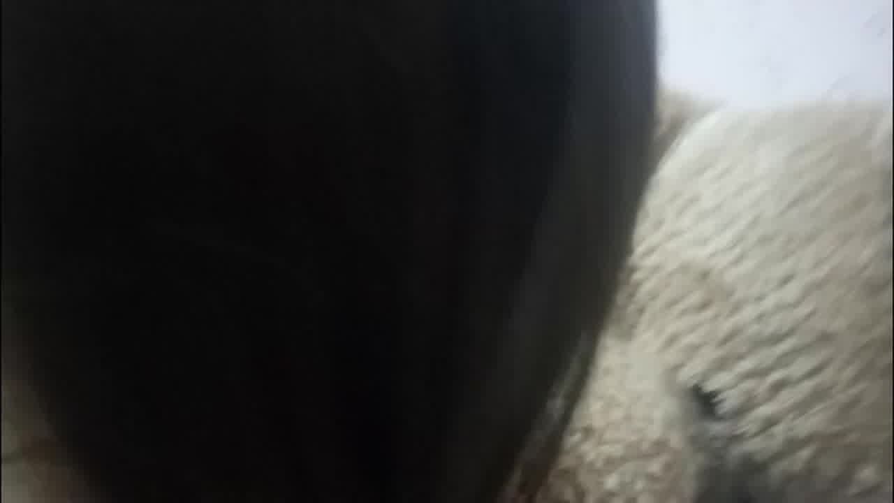  一米六八的大长腿少妇，卖力约炮口交 的剧照9