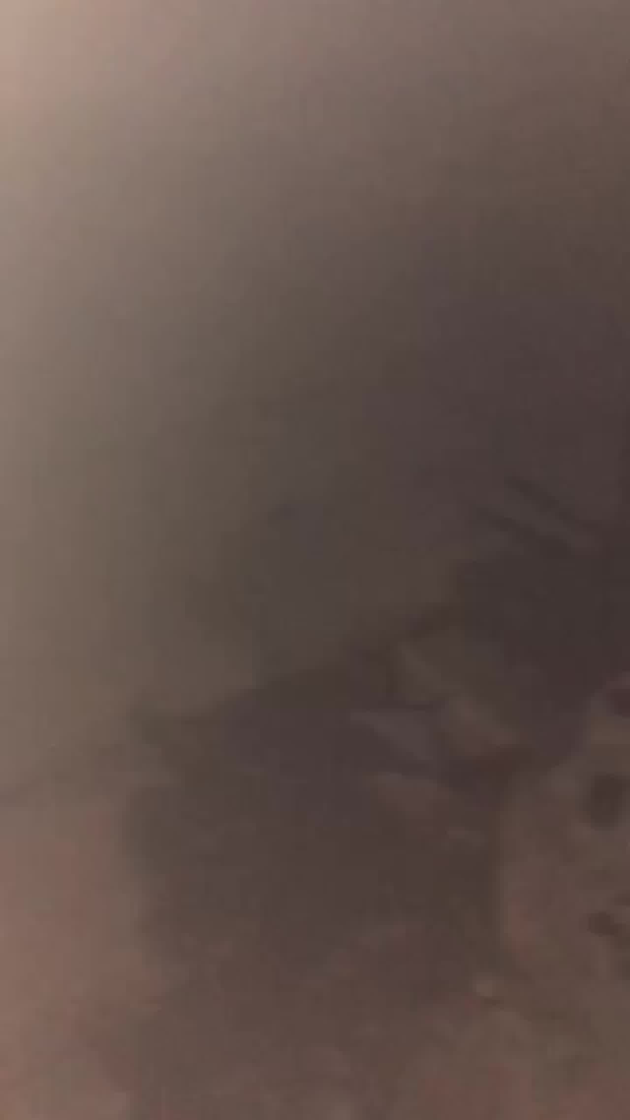  学生妹子野外被狂干 的剧照7