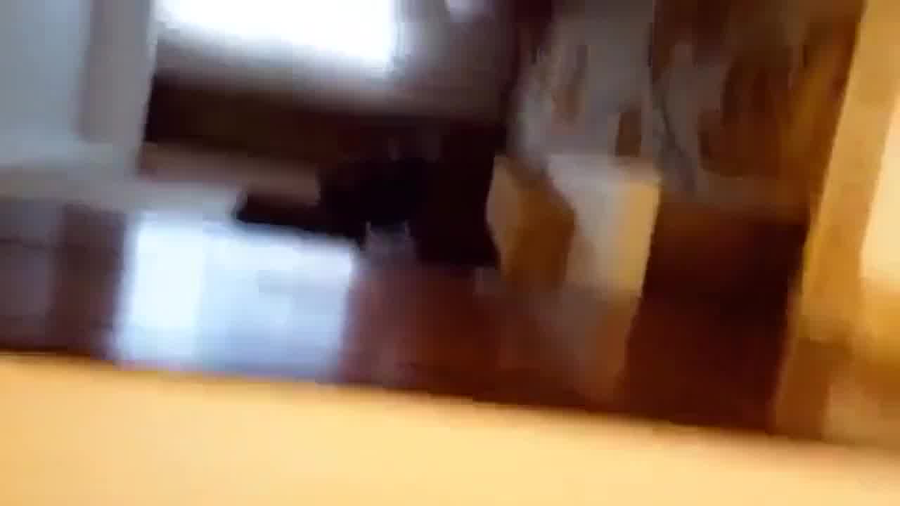  上海父女乱伦喜中出 的剧照10